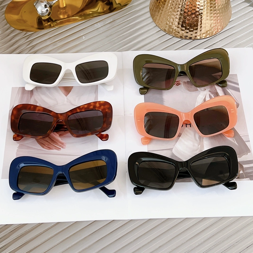 SmartChoice 5893 LOEWE AAA Quality Sunglasses