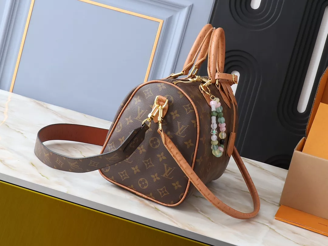 SmartChoice 843 Louis Vuitton AAA Quality Handbags For Women