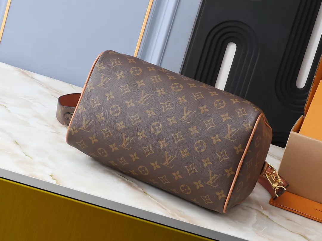 SmartChoice 843 Louis Vuitton AAA Quality Handbags For Women