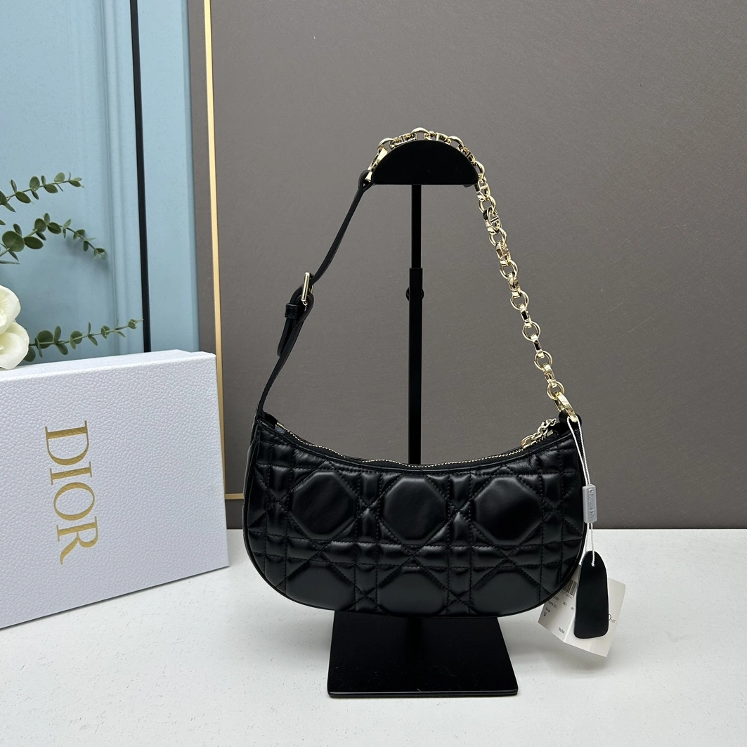 Soft 356 Christian Dior AAA Quality Shoulder Bags For Women
