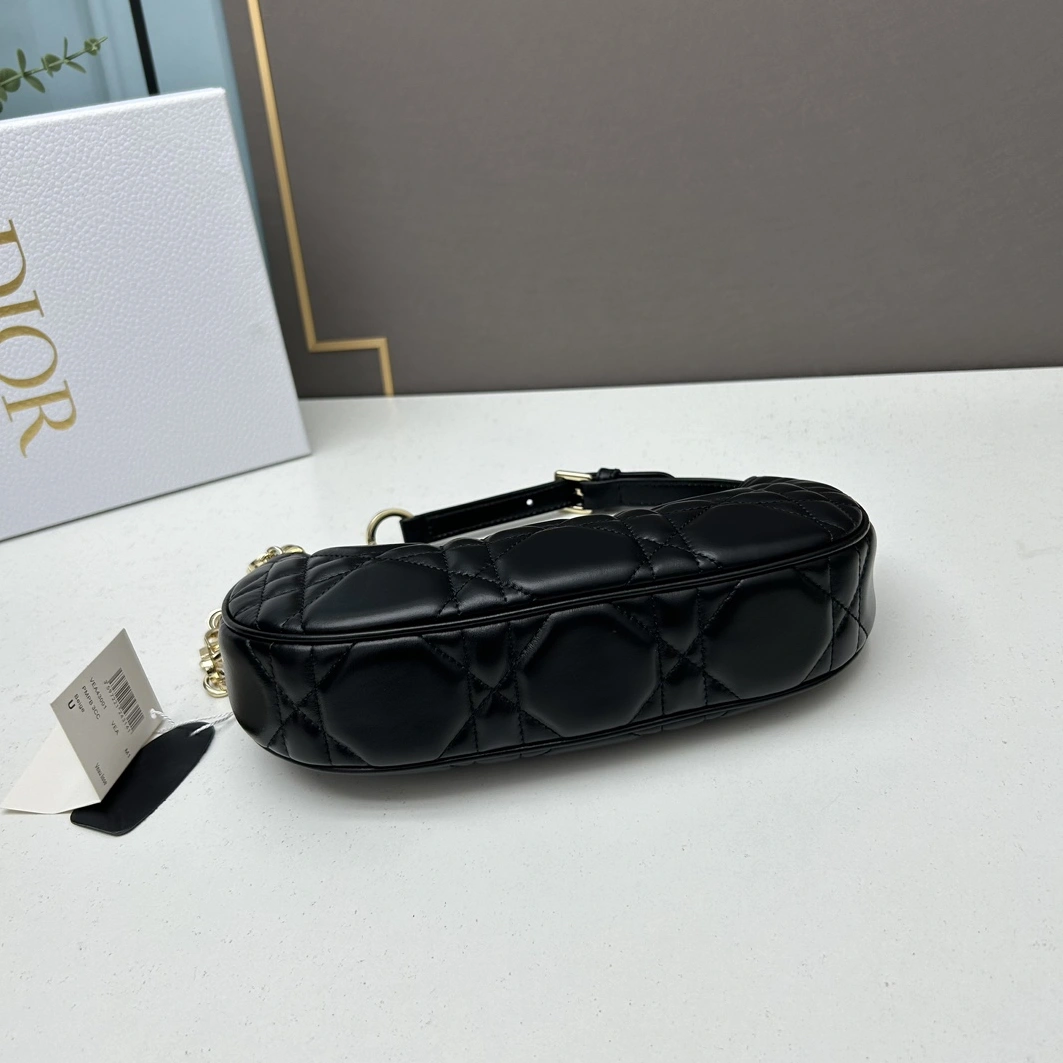 Soft 356 Christian Dior AAA Quality Shoulder Bags For Women