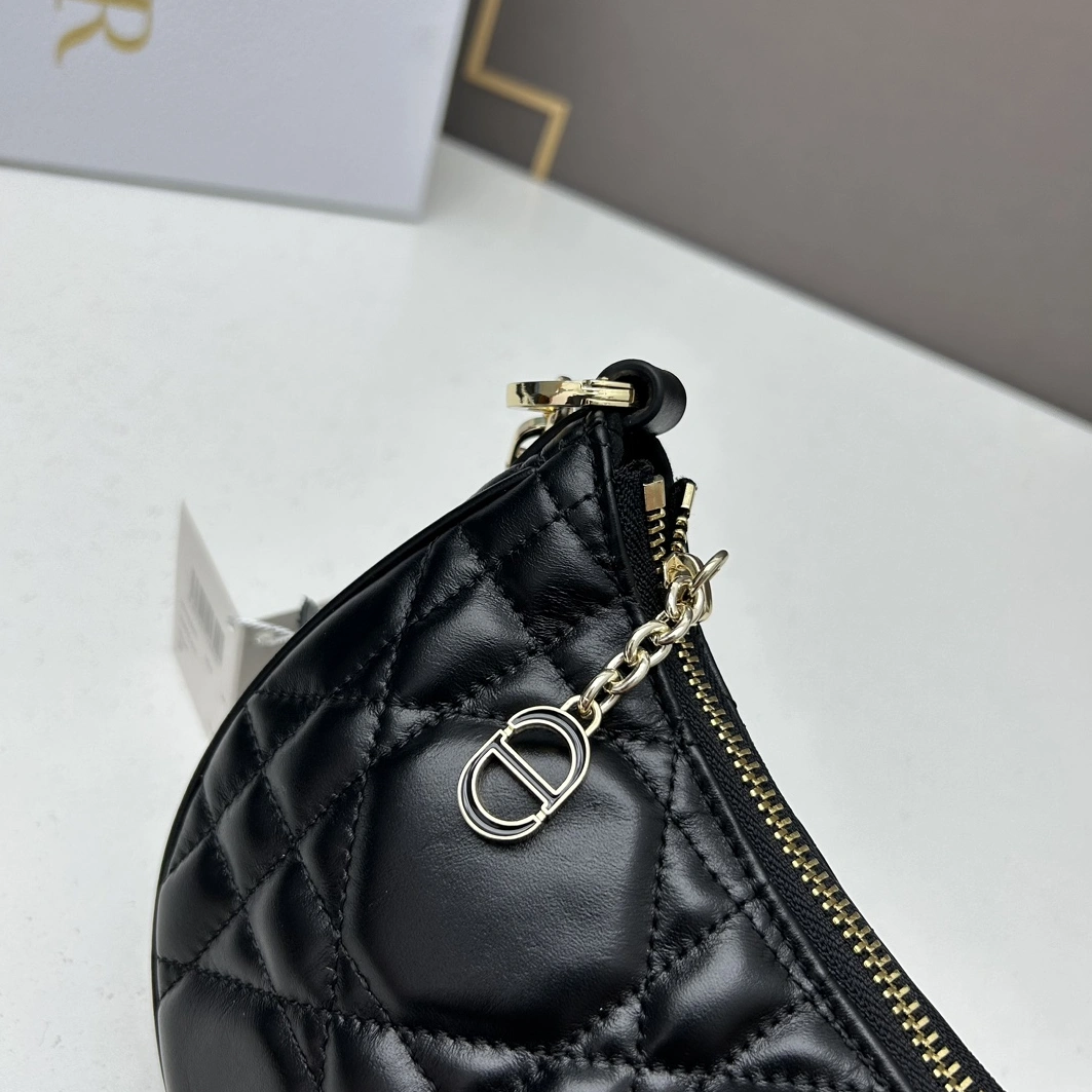 Soft 356 Christian Dior AAA Quality Shoulder Bags For Women