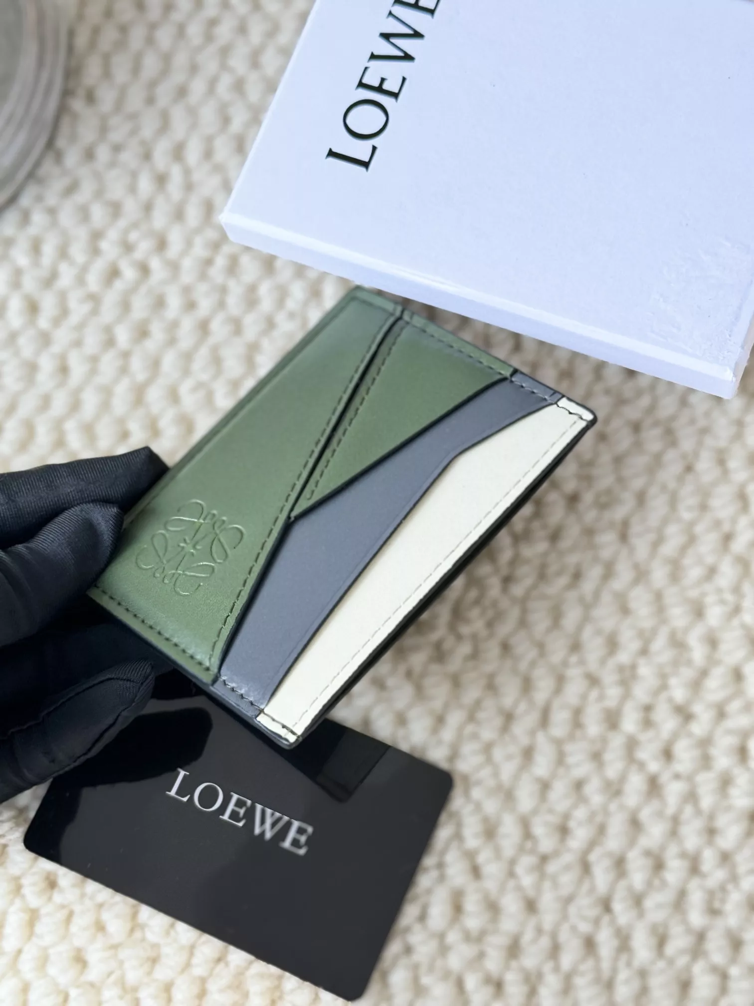 Soft 9494 LOEWE Card Case