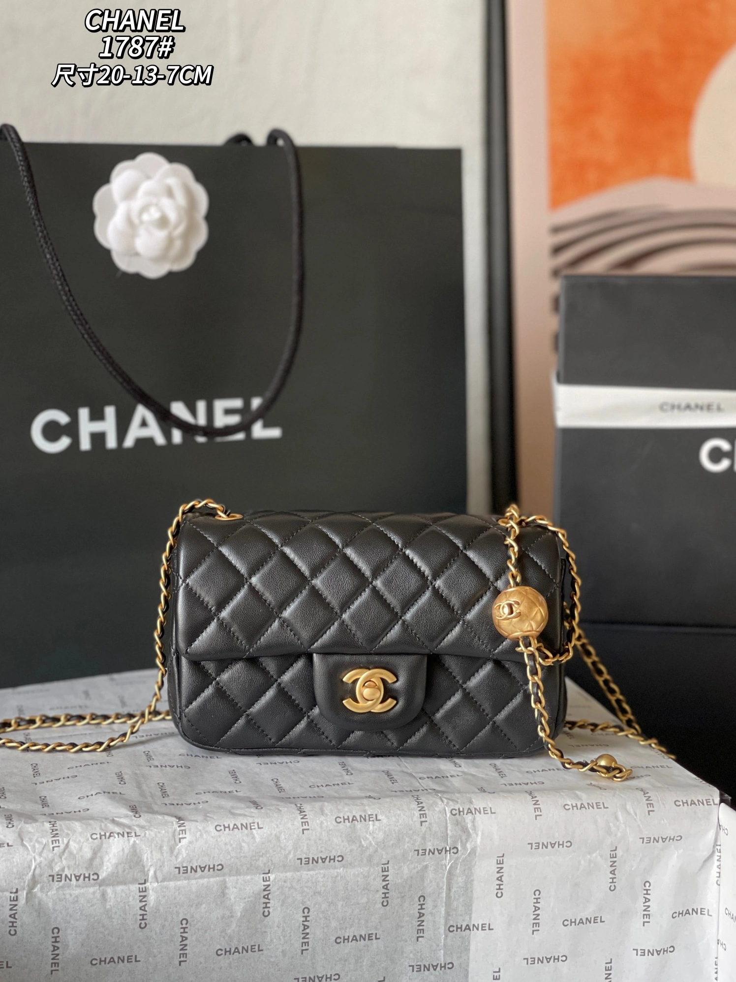 Sophisticated 1612 Chanel AAA Quality Messenger Bags For Women