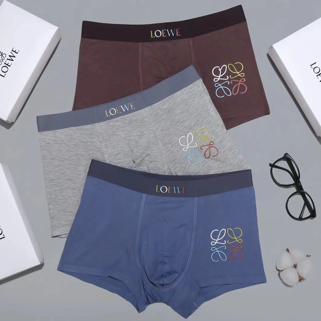 Sophisticated 2031 LOEWE Underwears For Men
