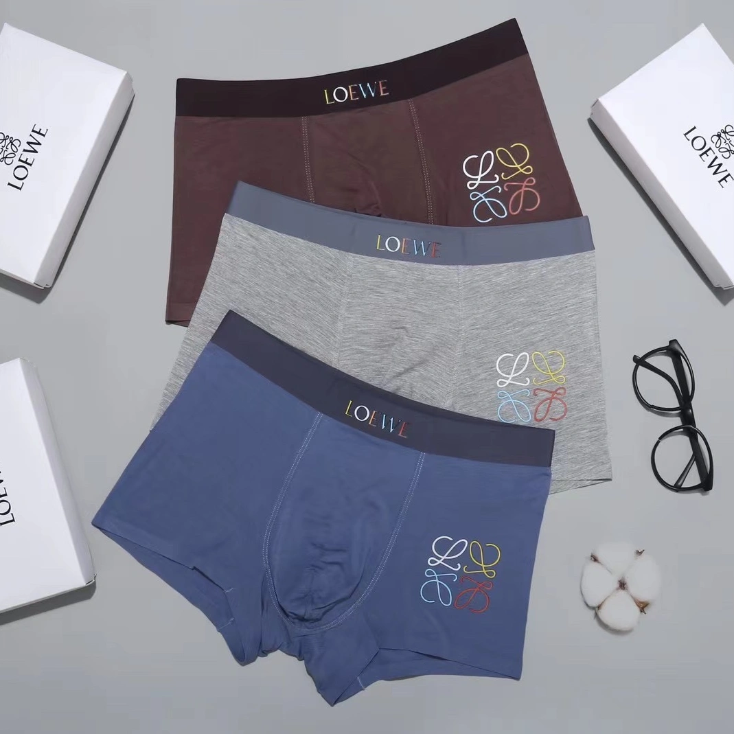 Sophisticated 2031 LOEWE Underwears For Men