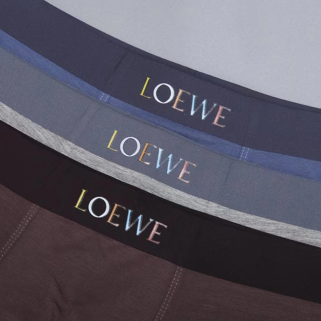 Sophisticated 2031 LOEWE Underwears For Men