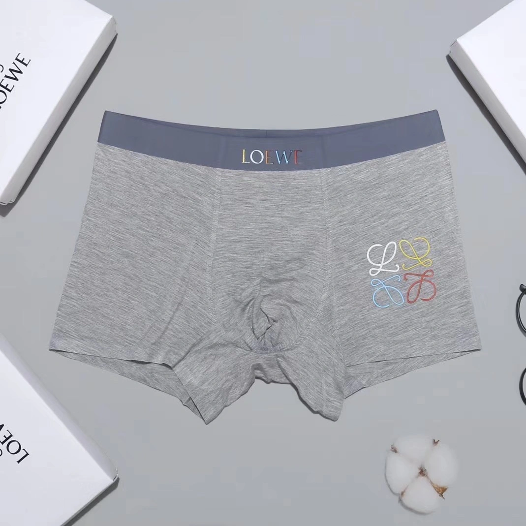 Sophisticated 2031 LOEWE Underwears For Men