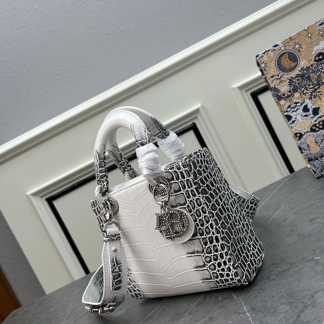 Sophisticated 3713 Christian Dior AAA Quality Handbags For Women