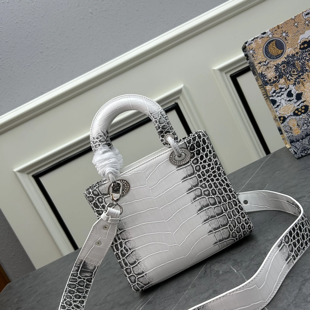 Sophisticated 3713 Christian Dior AAA Quality Handbags For Women
