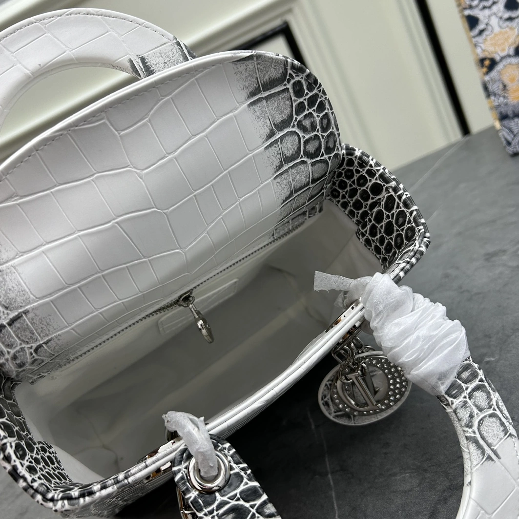 Sophisticated 3713 Christian Dior AAA Quality Handbags For Women