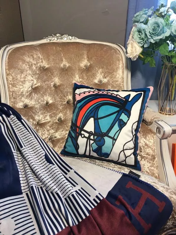 Sophisticated 4569 Hermes Cushion