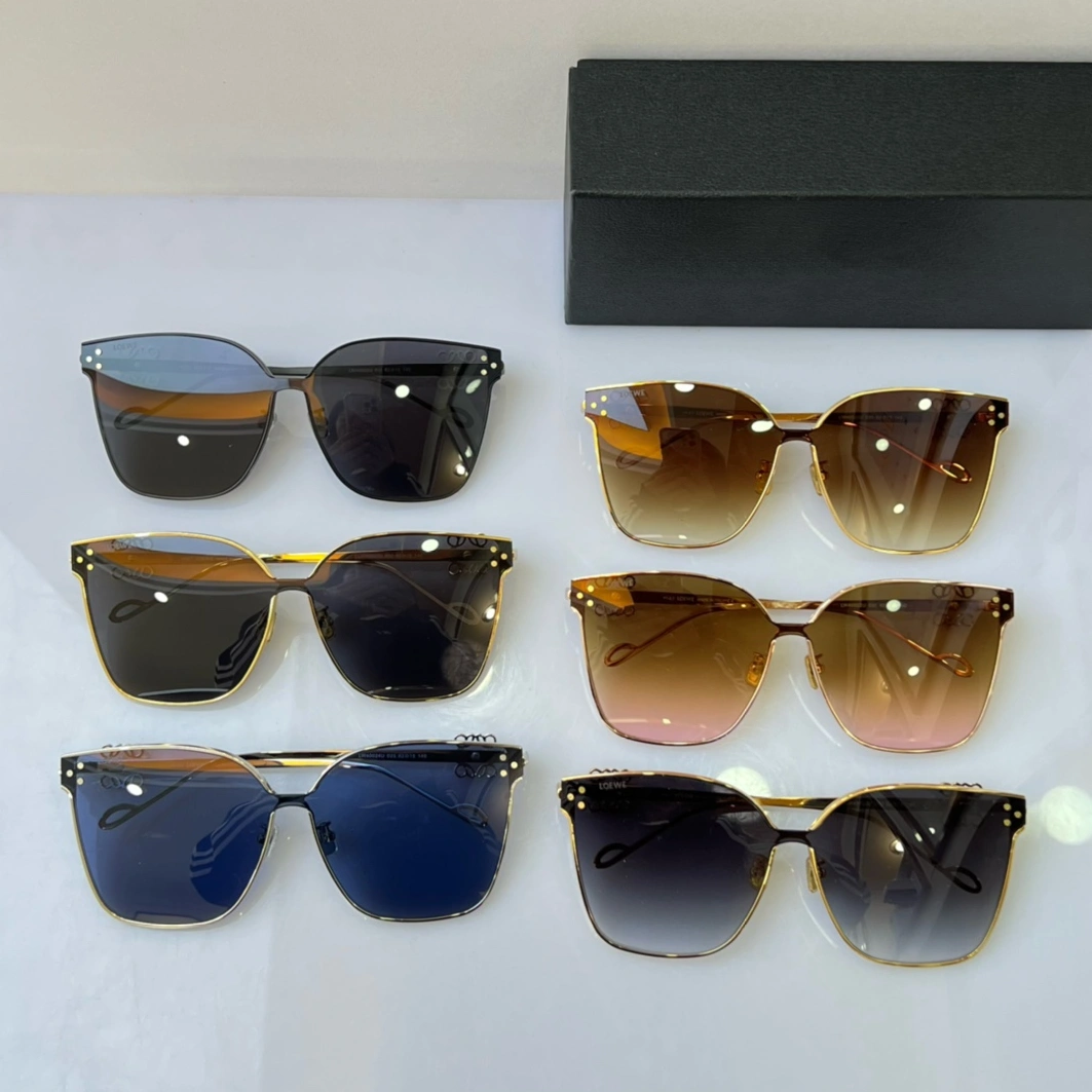 Sophisticated 5637 LOEWE AAA Quality Sunglasses