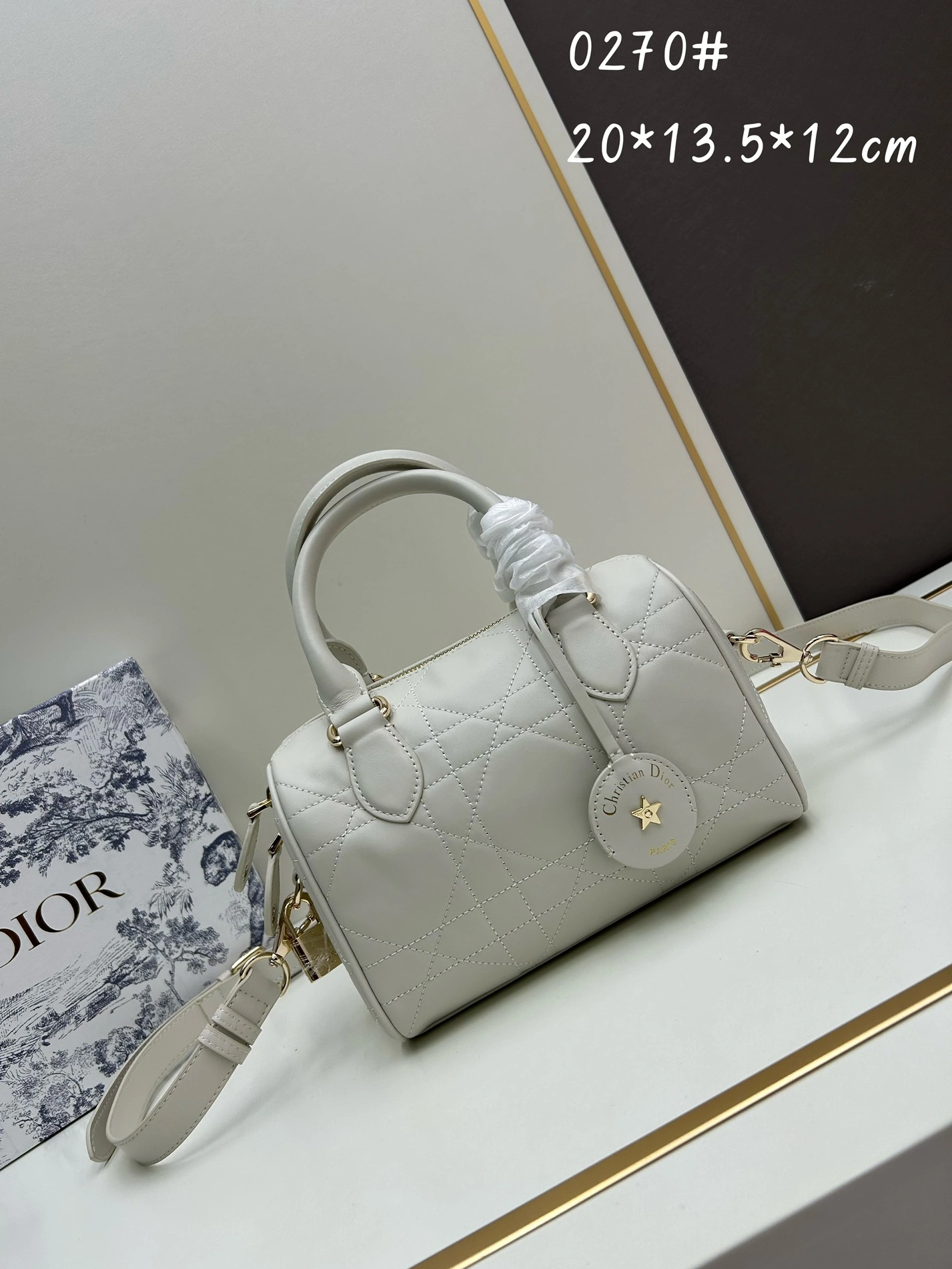 SportInspired 3386 Christian Dior AAA Quality Handbags For Women