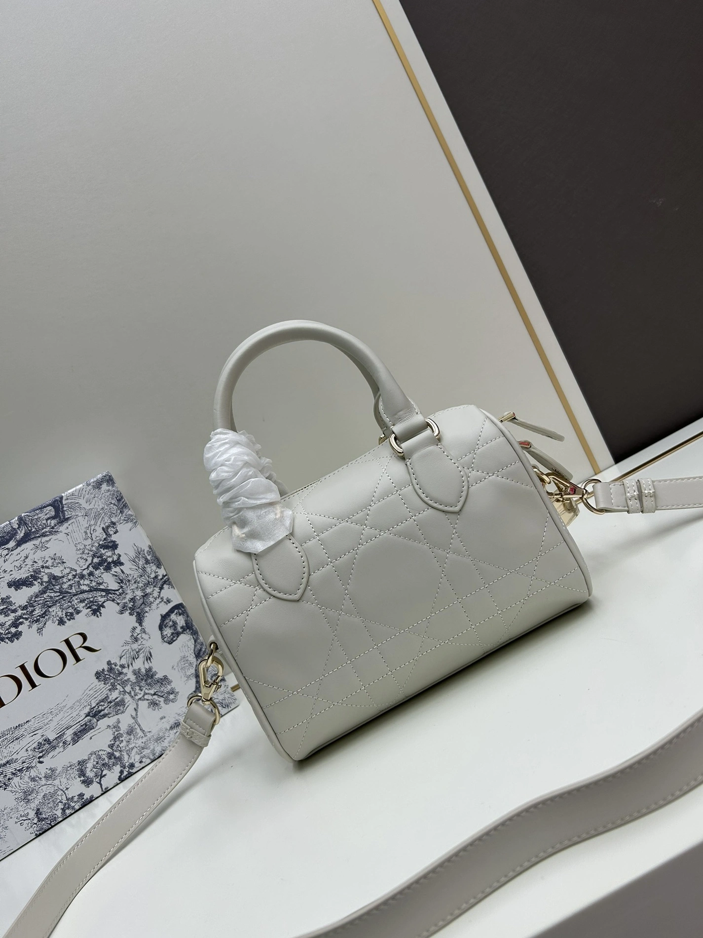 SportInspired 3386 Christian Dior AAA Quality Handbags For Women