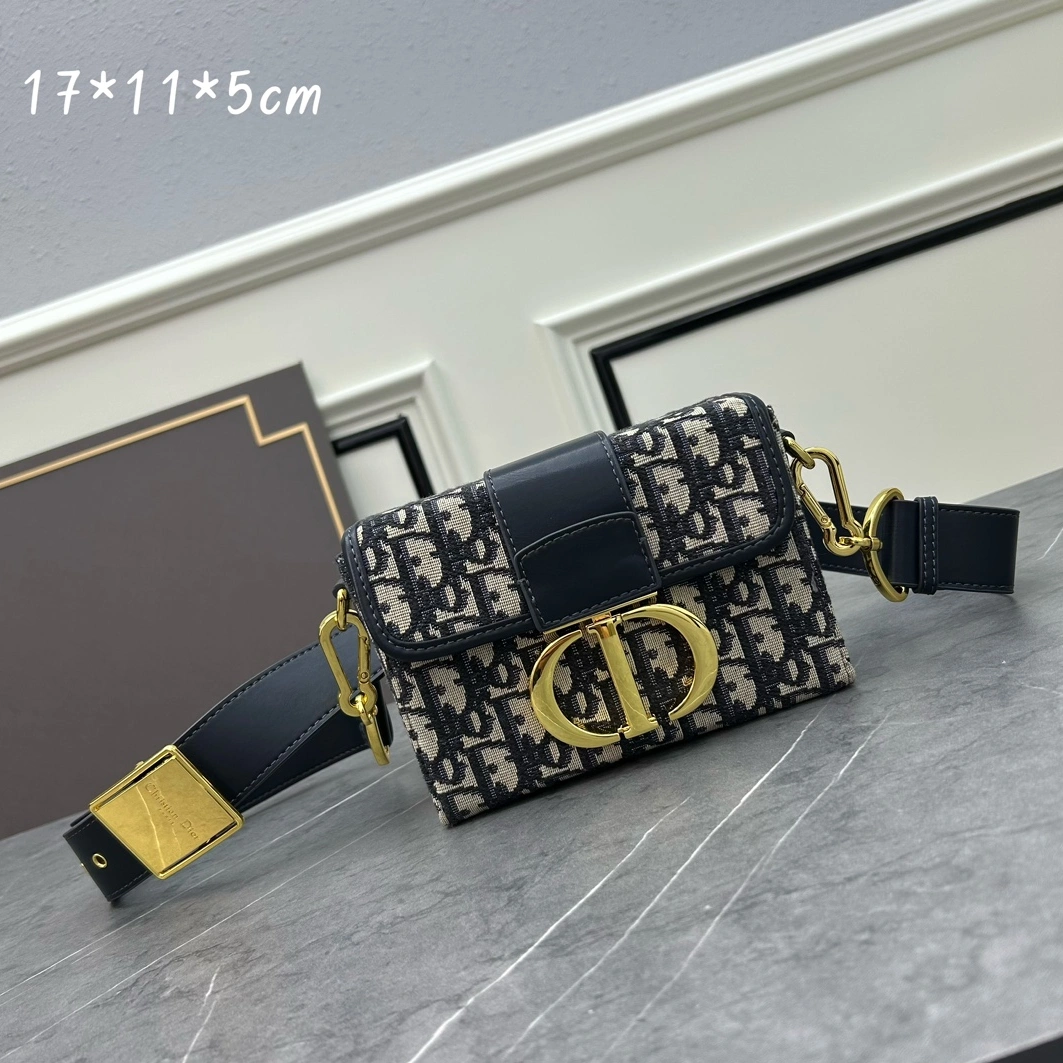 SportInspired 3766 Christian Dior AAA Quality Messenger Bags For Women