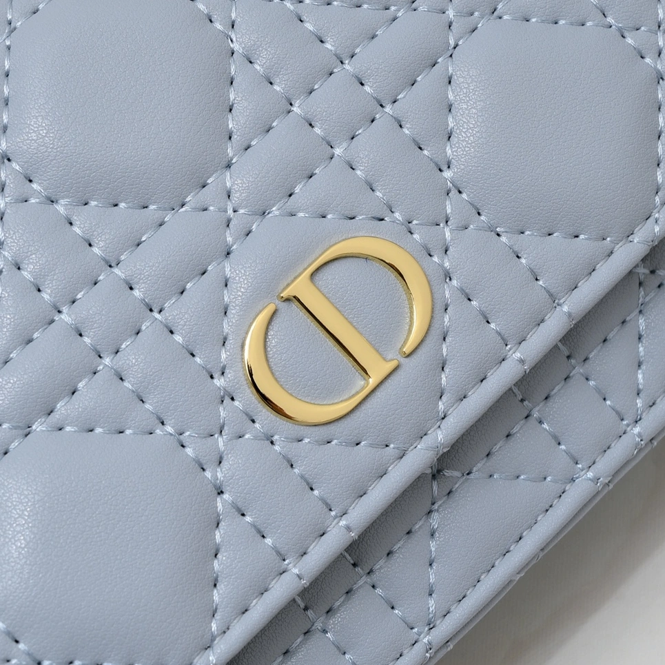 SportInspired 5893 Christian Dior AAA Quality Messenger Bags For Women