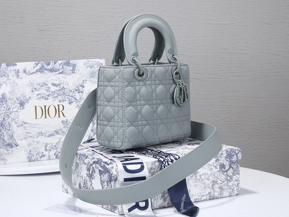 SportInspired 9660 Christian Dior AAA Quality Messenger Bags For Women