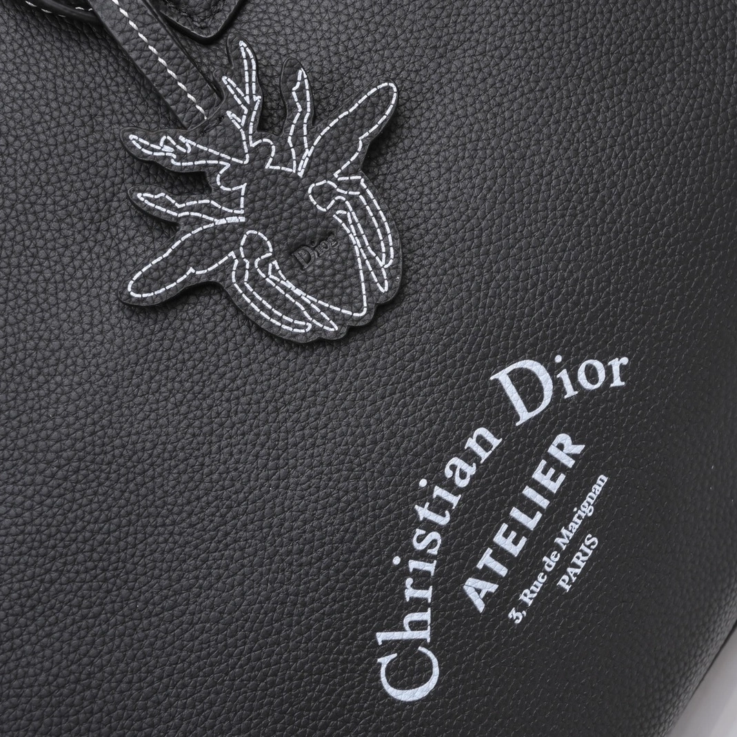 StreetReady 1021 Christian Dior AAA Man Handbags