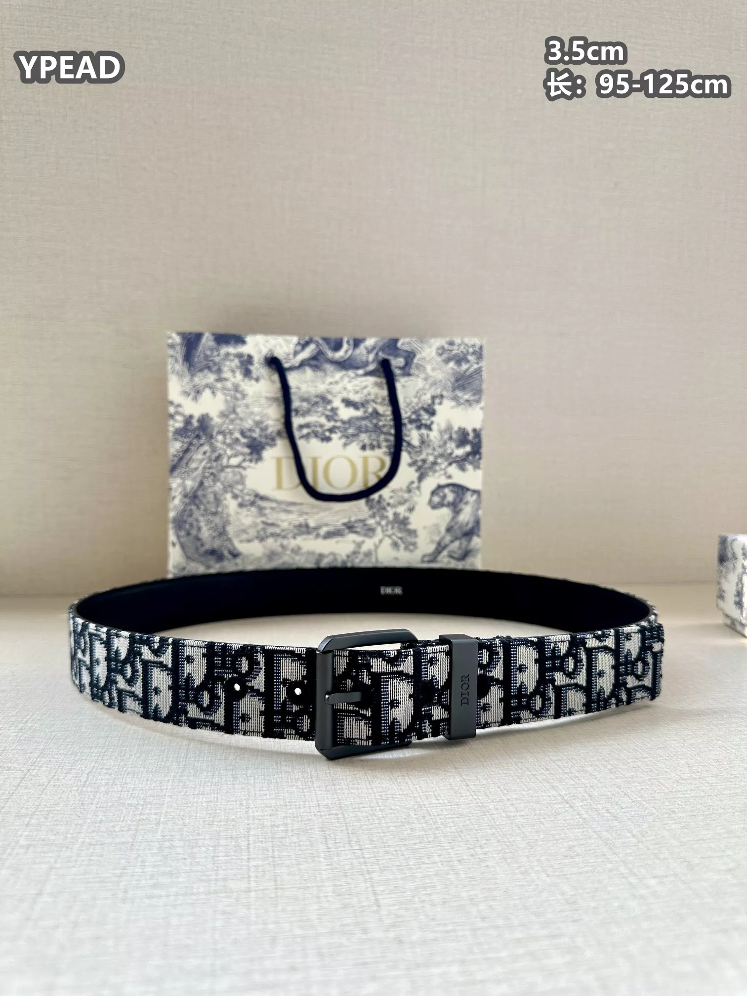 StreetReady 1822 Christian Dior AAA Quality Belts For Unisex