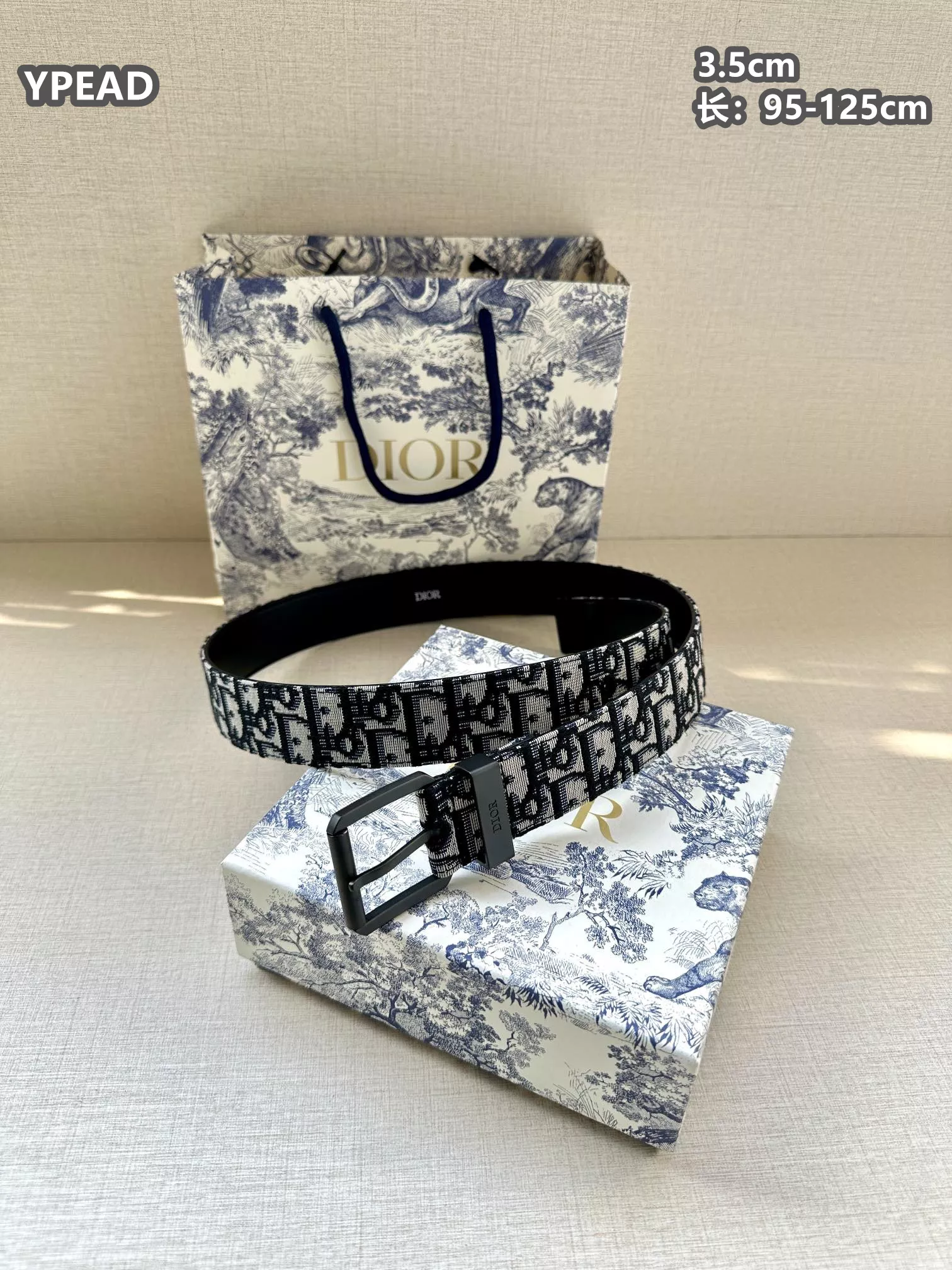StreetReady 1822 Christian Dior AAA Quality Belts For Unisex