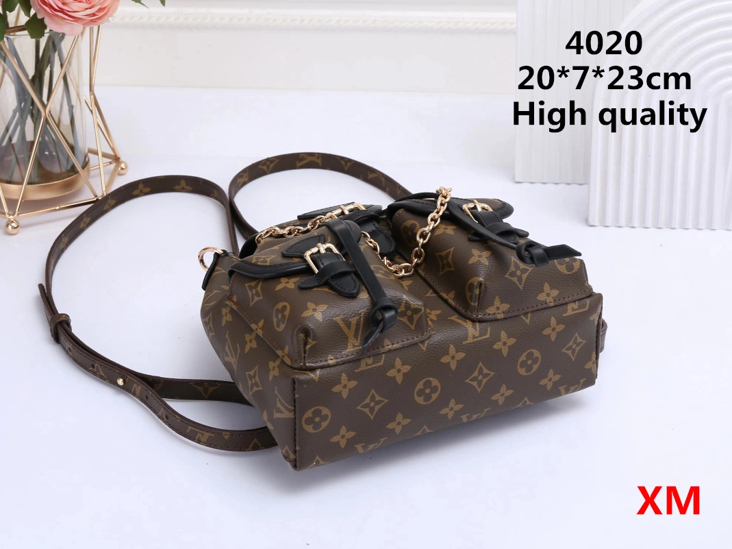 StreetReady 3557 Louis Vuitton Backpacks For Women