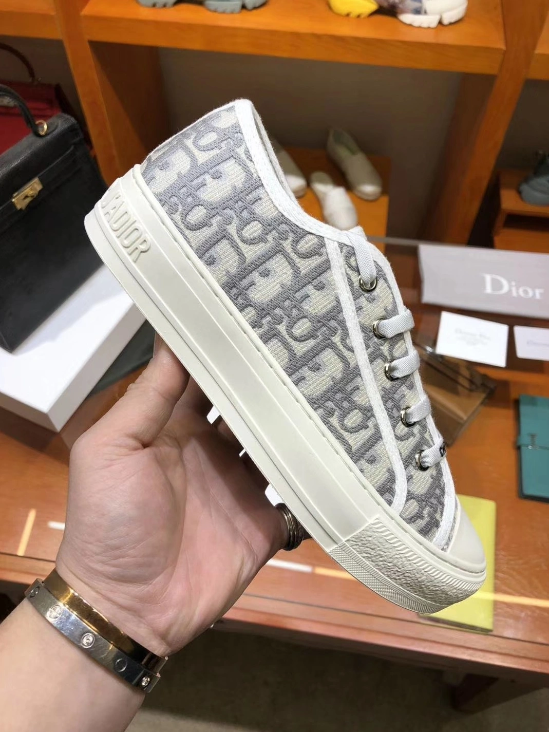 StreetReady 3911 Christian Dior Casual Shoes For Women