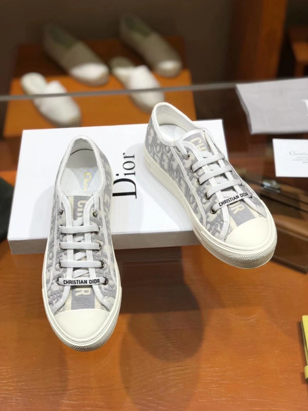StreetReady 3911 Christian Dior Casual Shoes For Women