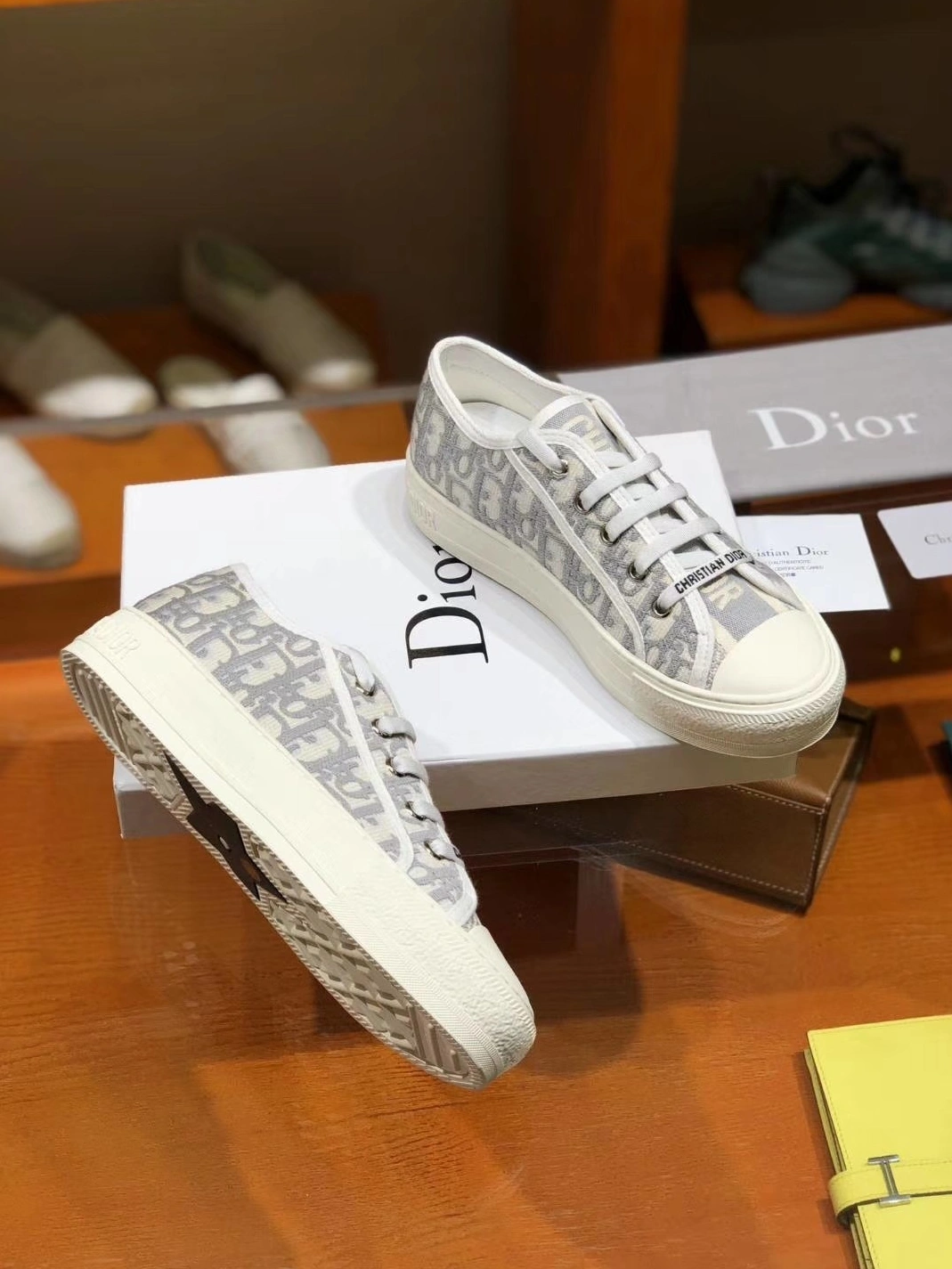 StreetReady 3911 Christian Dior Casual Shoes For Women