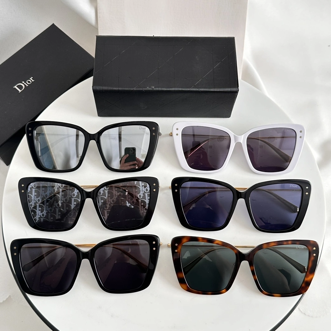 StreetReady 3948 Christian Dior AAA Quality Sunglasses