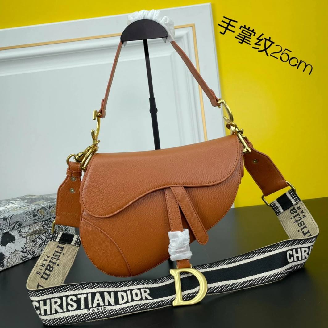 StreetReady 478 Christian Dior AAA Quality Messenger Bags For Women