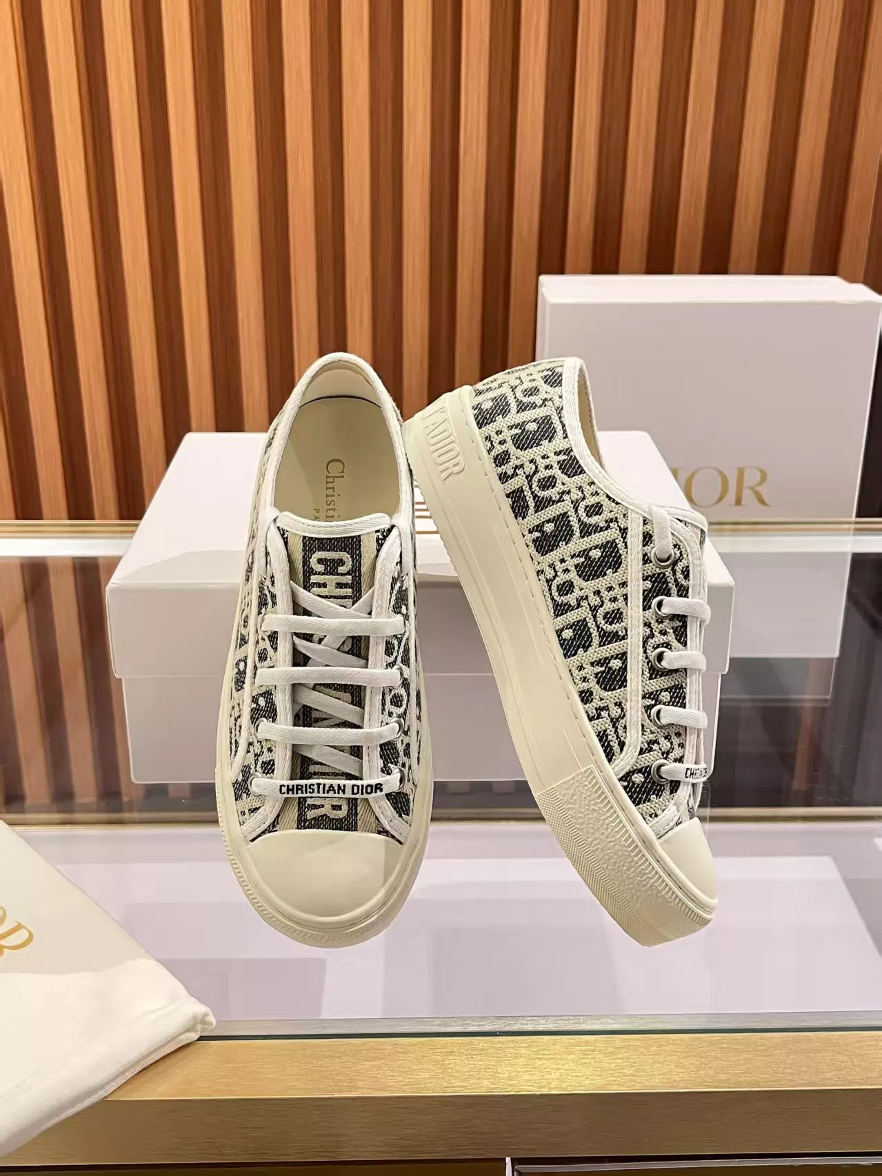 StreetReady 7120 Christian Dior Casual Shoes For Women