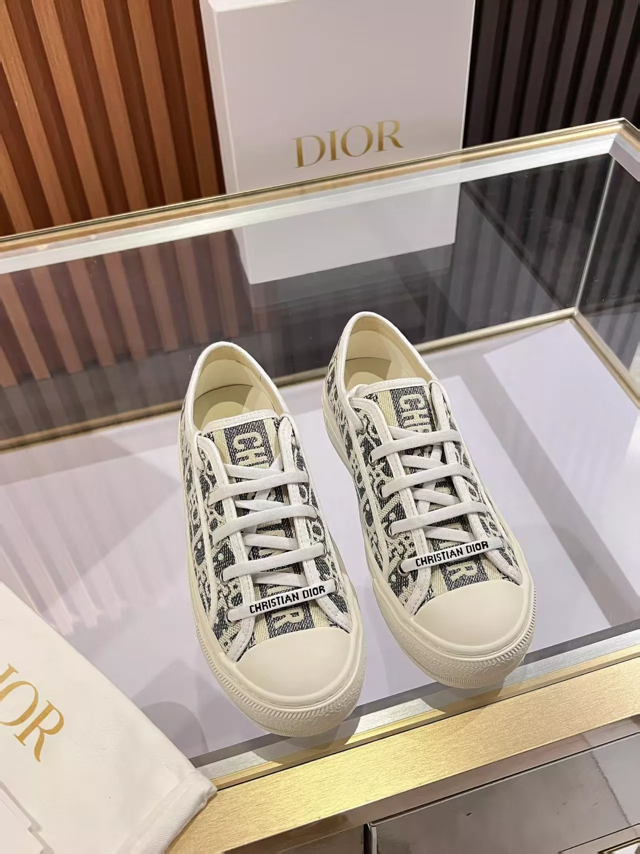 StreetReady 7120 Christian Dior Casual Shoes For Women
