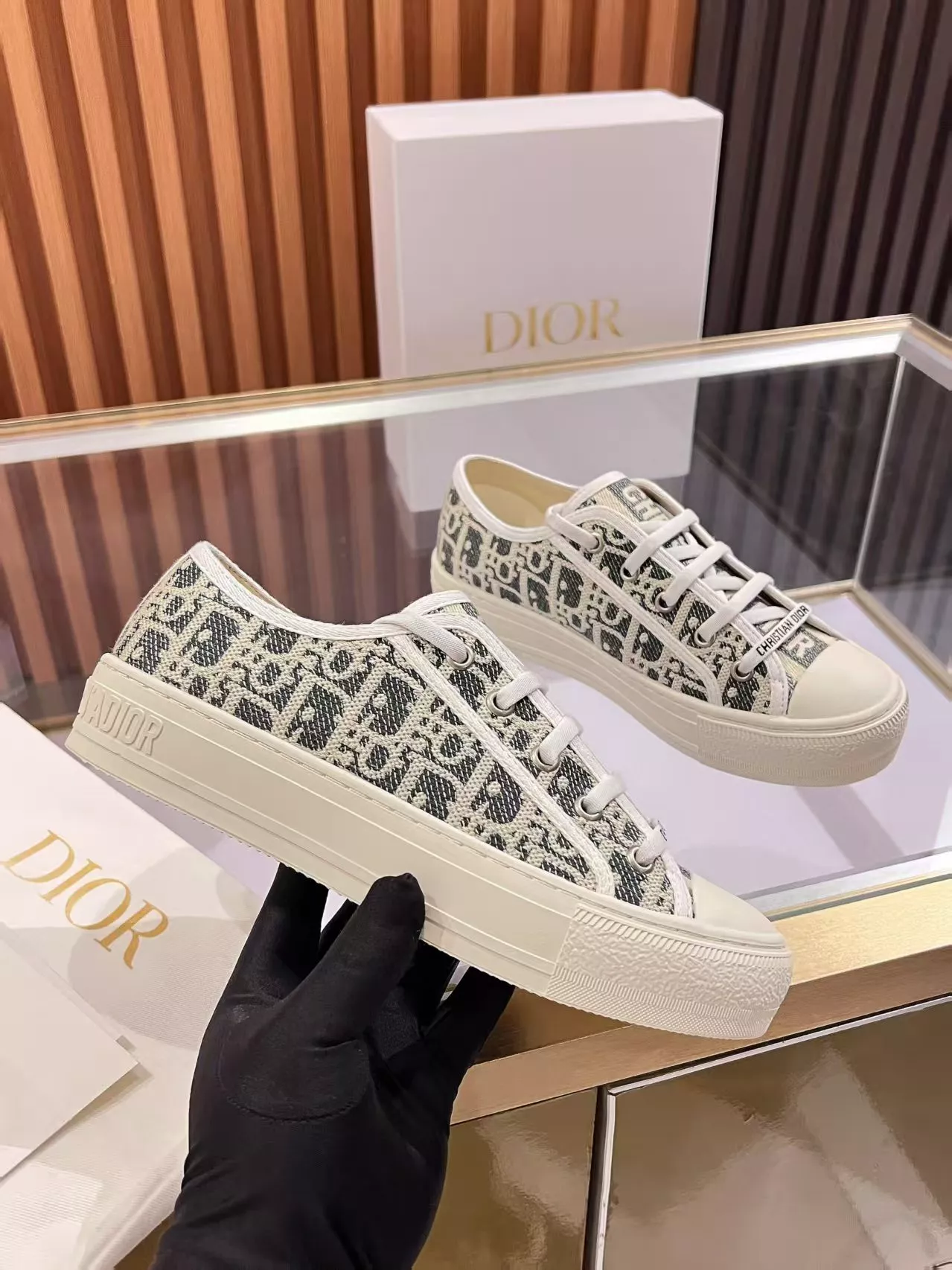 StreetReady 7120 Christian Dior Casual Shoes For Women