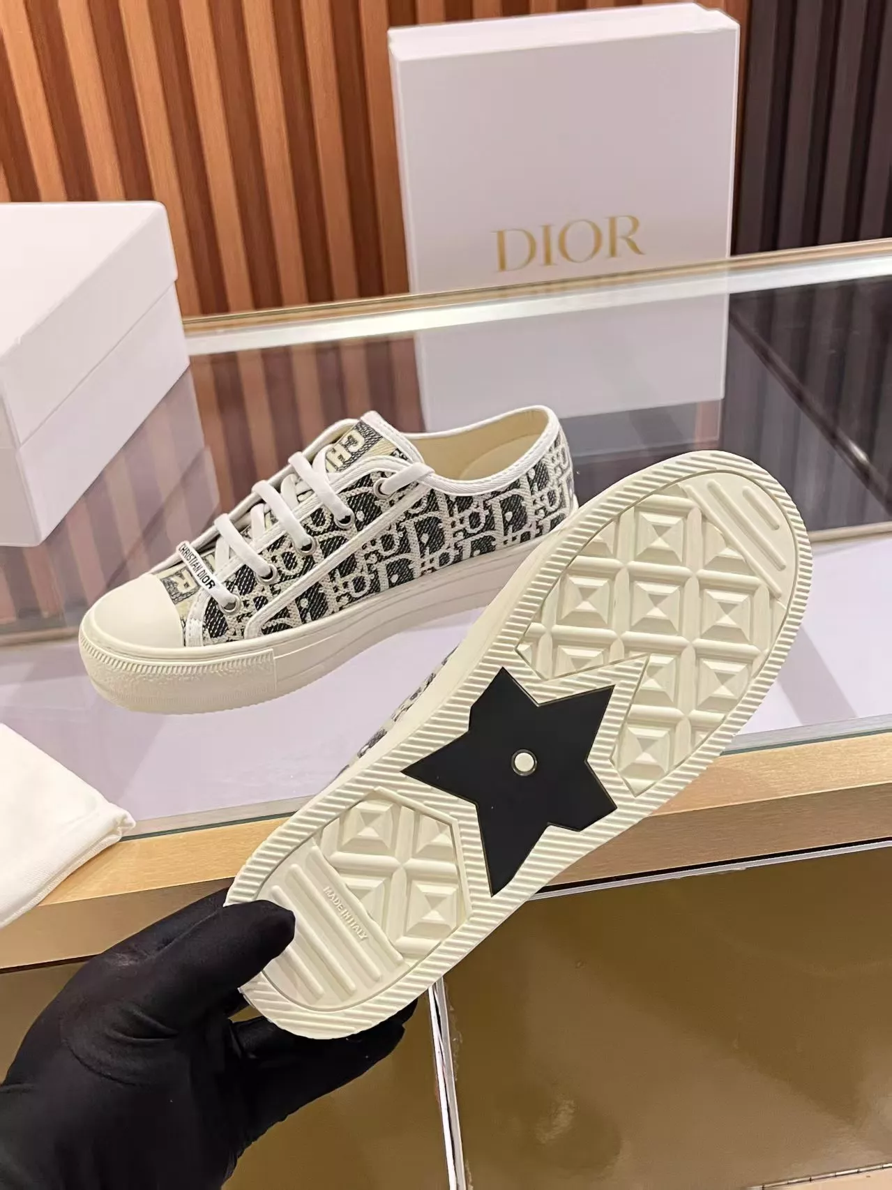 StreetReady 7120 Christian Dior Casual Shoes For Women