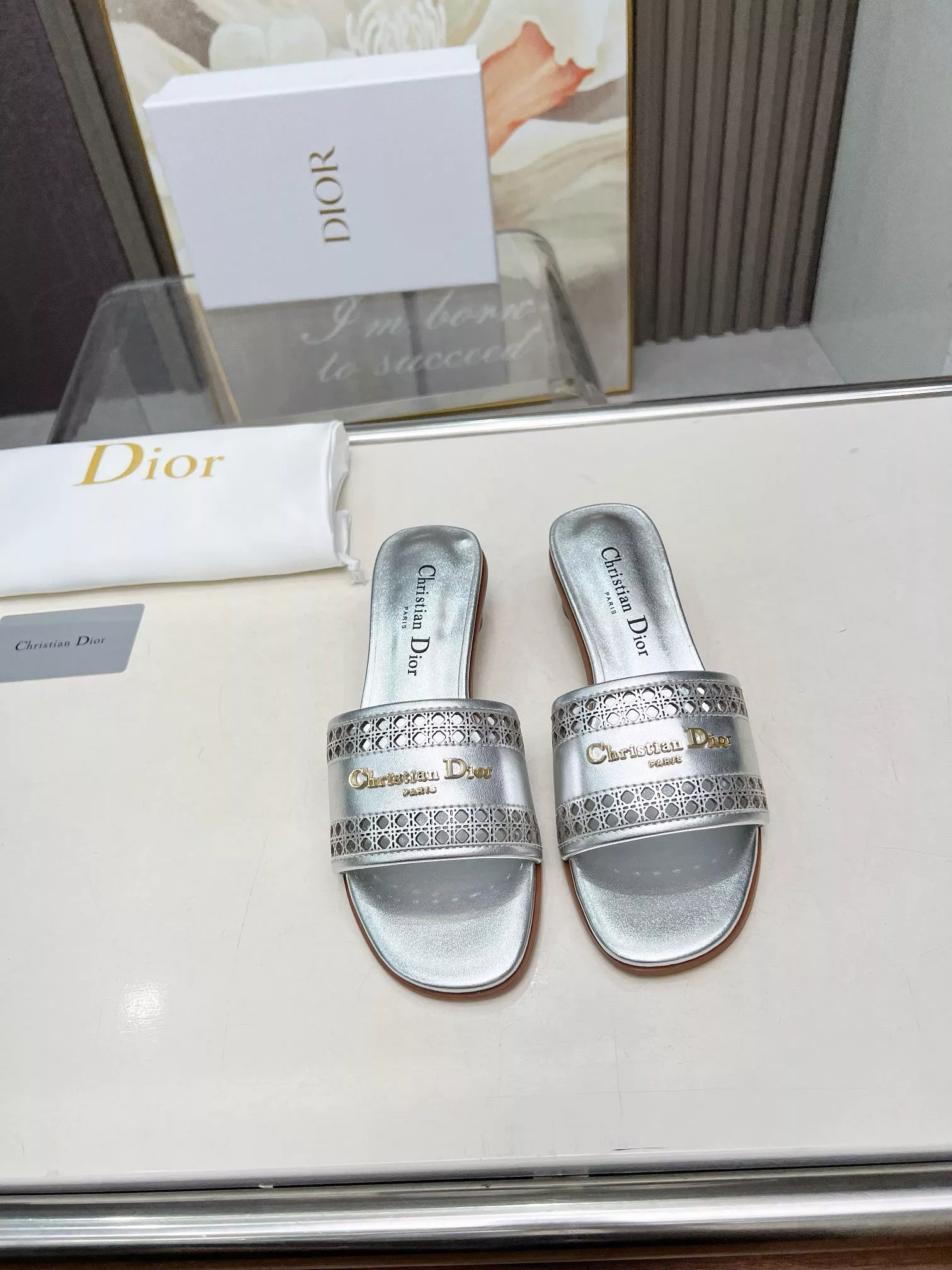 StreetReady 8038 Christian Dior Slippers For Women