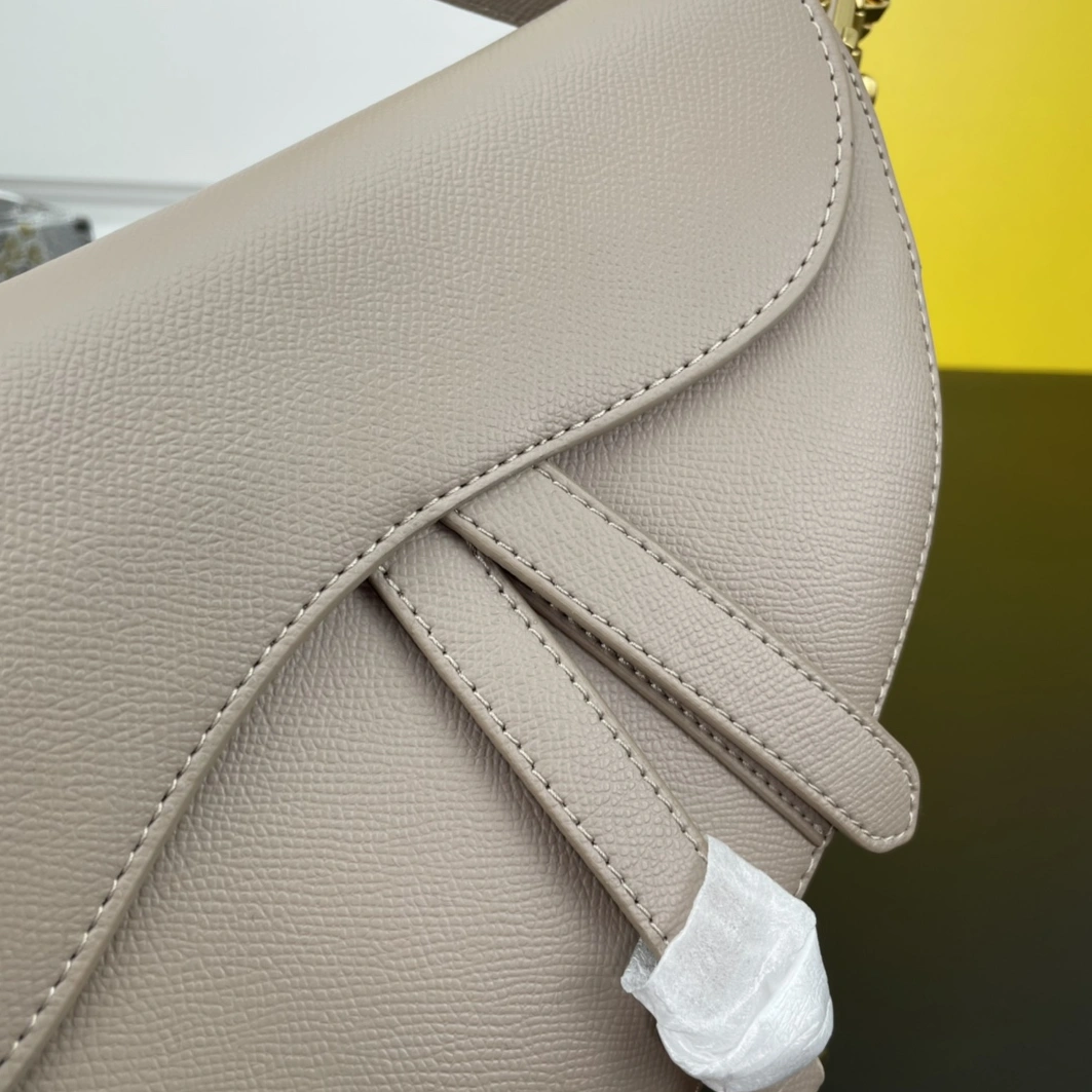 StreetReady 8104 Christian Dior AAA Quality Messenger Bags For Women