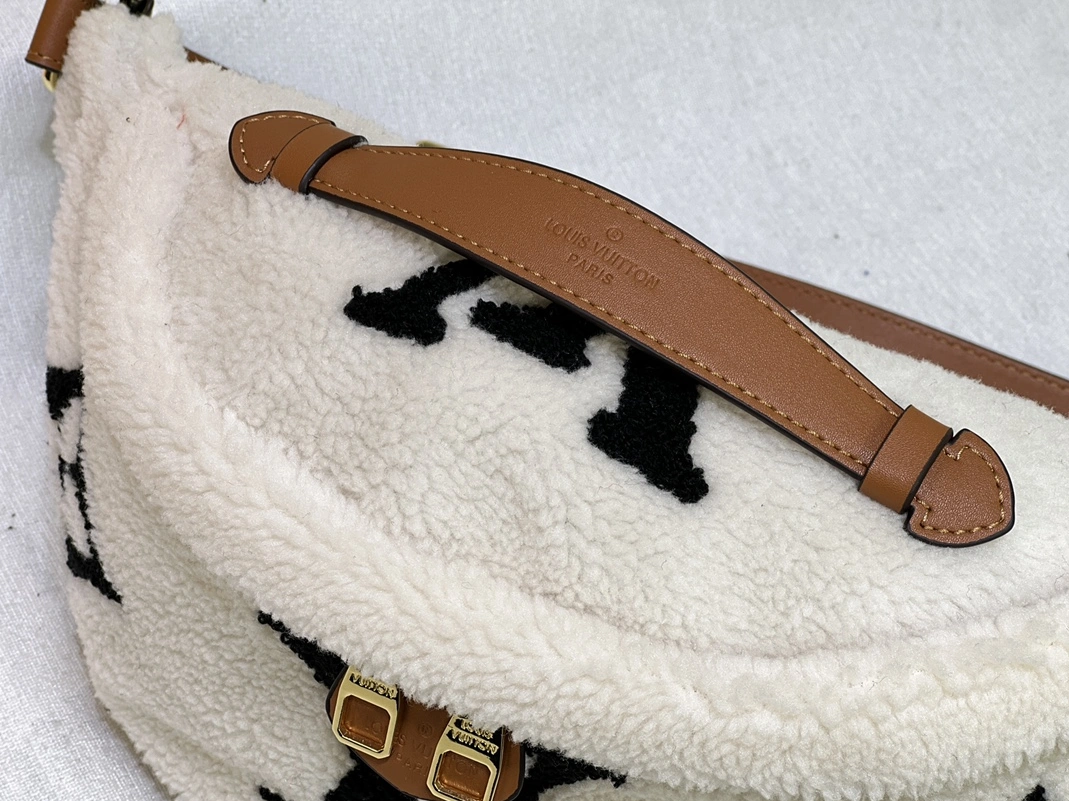 Stylish 1349 Louis Vuitton LV AAA Quality Belt Bags For Women