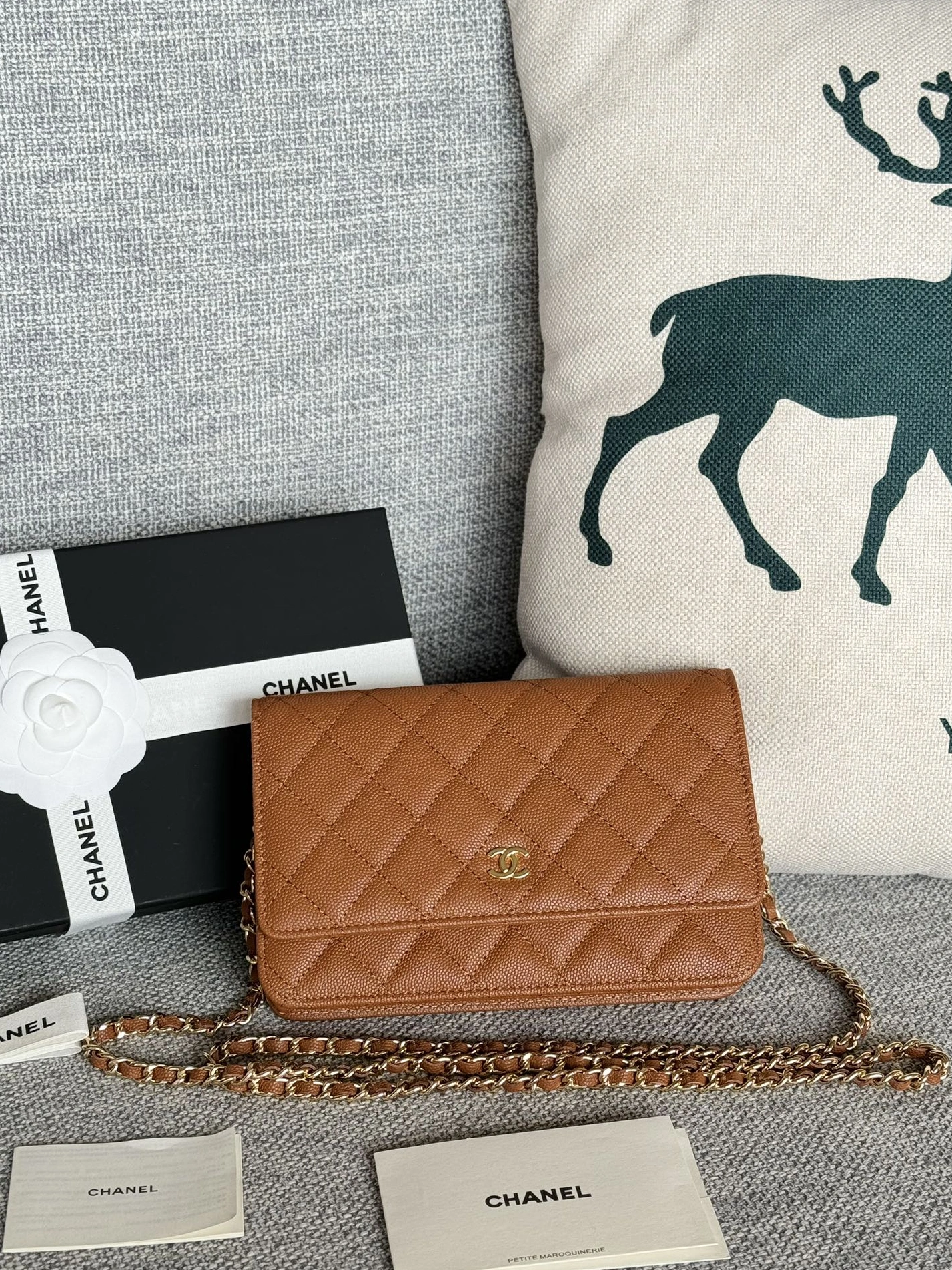 Stylish 1860 Chanel AAA Quality Messenger Bags In Gold For Women