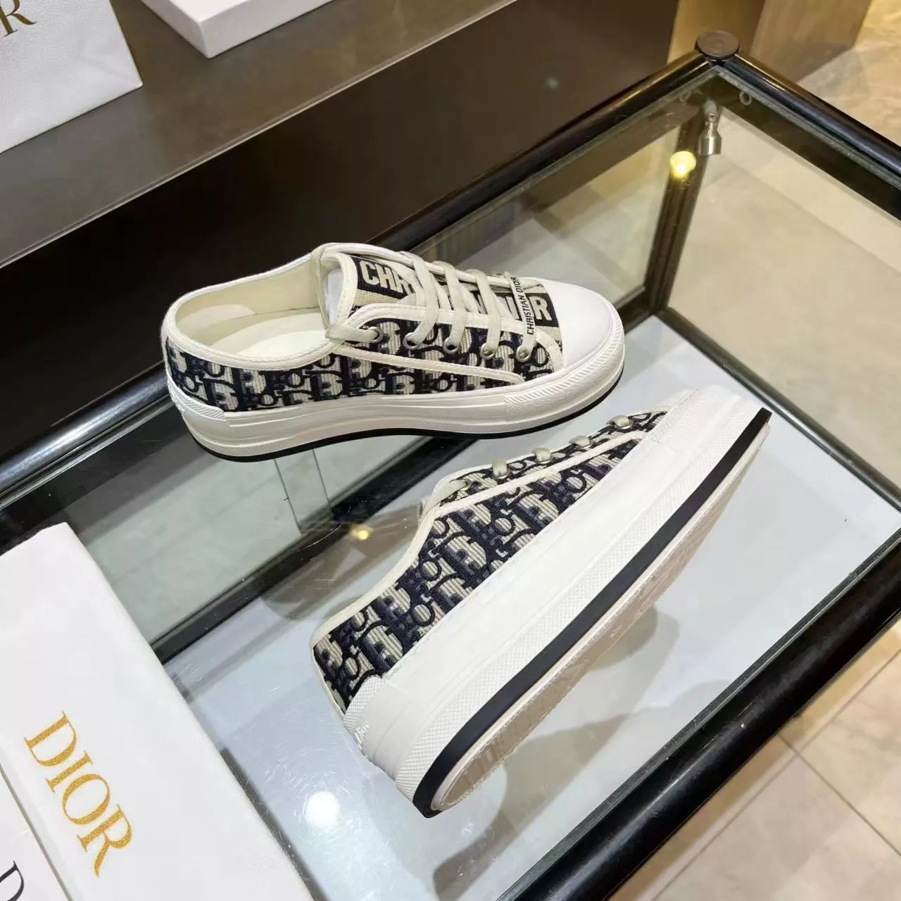 Stylish 2190 Christian Dior Casual Shoes For Women