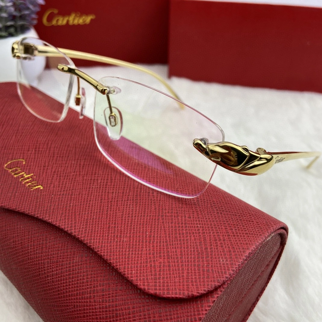 Stylish 3596 Cartier Goggles