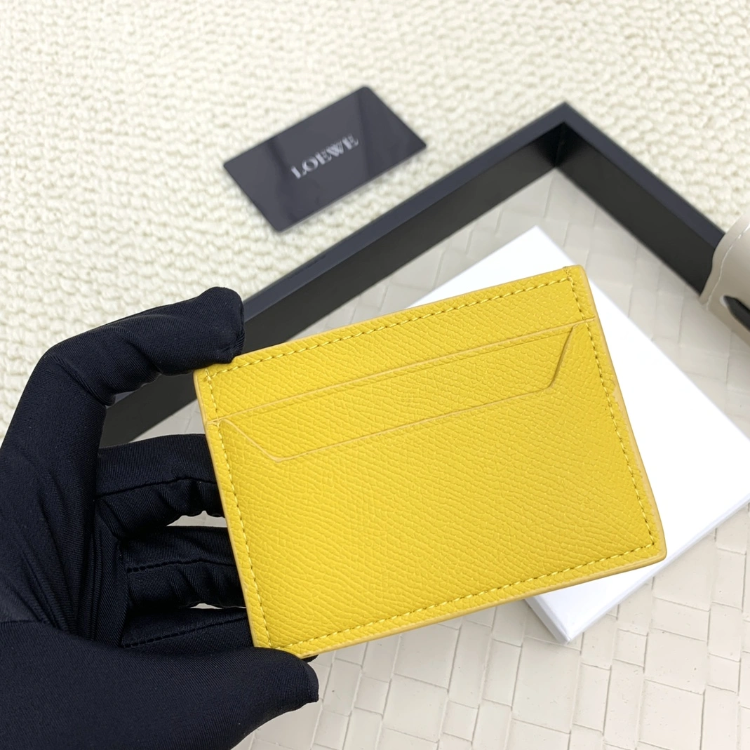 Stylish 4176 LOEWE Card Case
