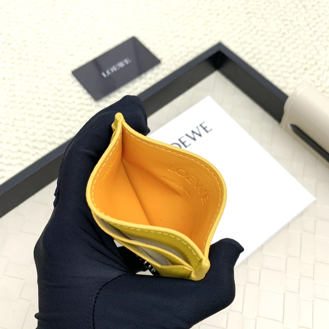 Stylish 4176 LOEWE Card Case