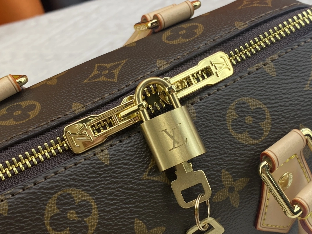 Stylish 8826 Louis Vuitton AAA Quality Handbags For Women