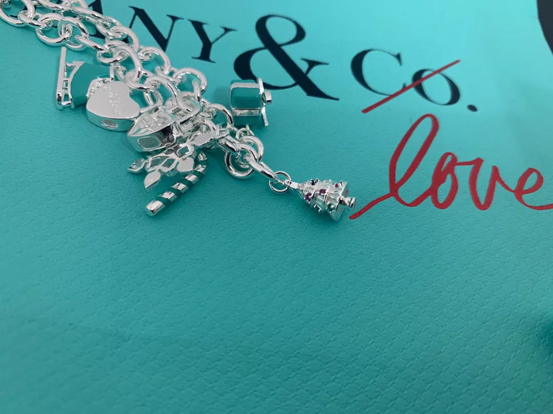 Tiffany Bracelets Functional 3249