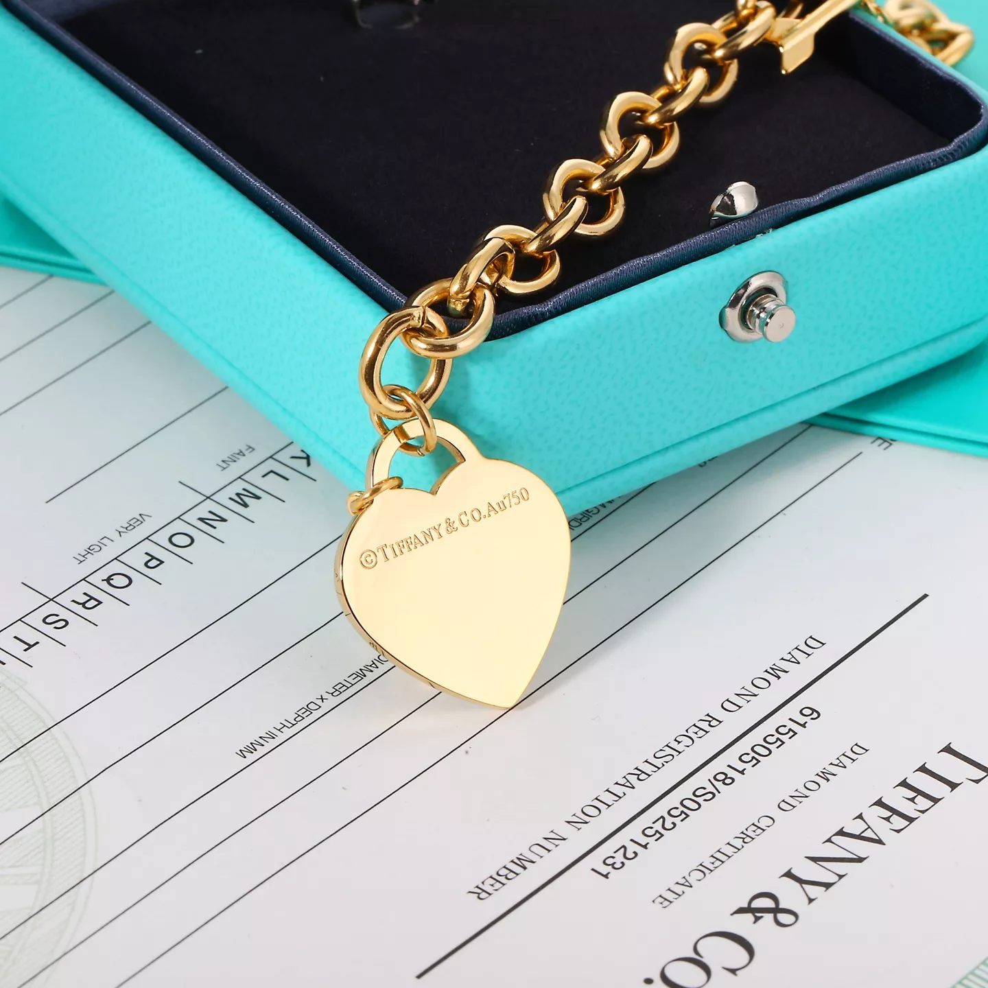 Tiffany Bracelets Resilient 2031