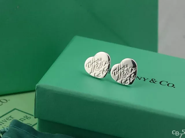 Tiffany Earrings For Women Bold 9373