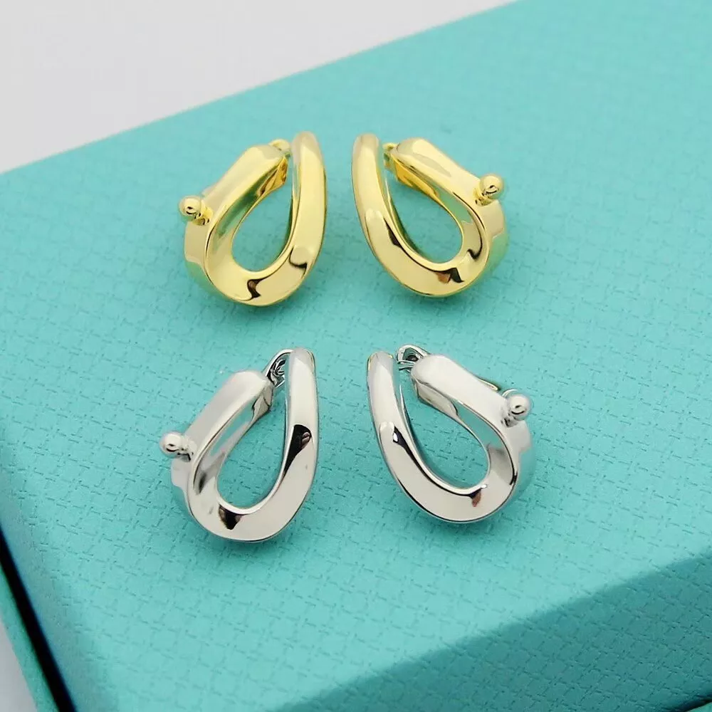 Tiffany Earrings For Women Resilient 9015