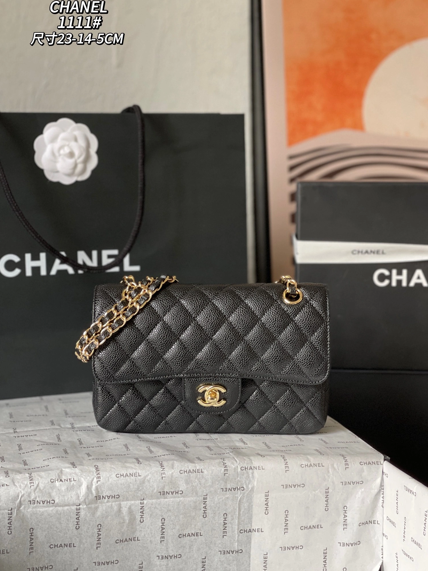 Timeless 3945 Chanel AAA Quality Messenger Bags For Women
