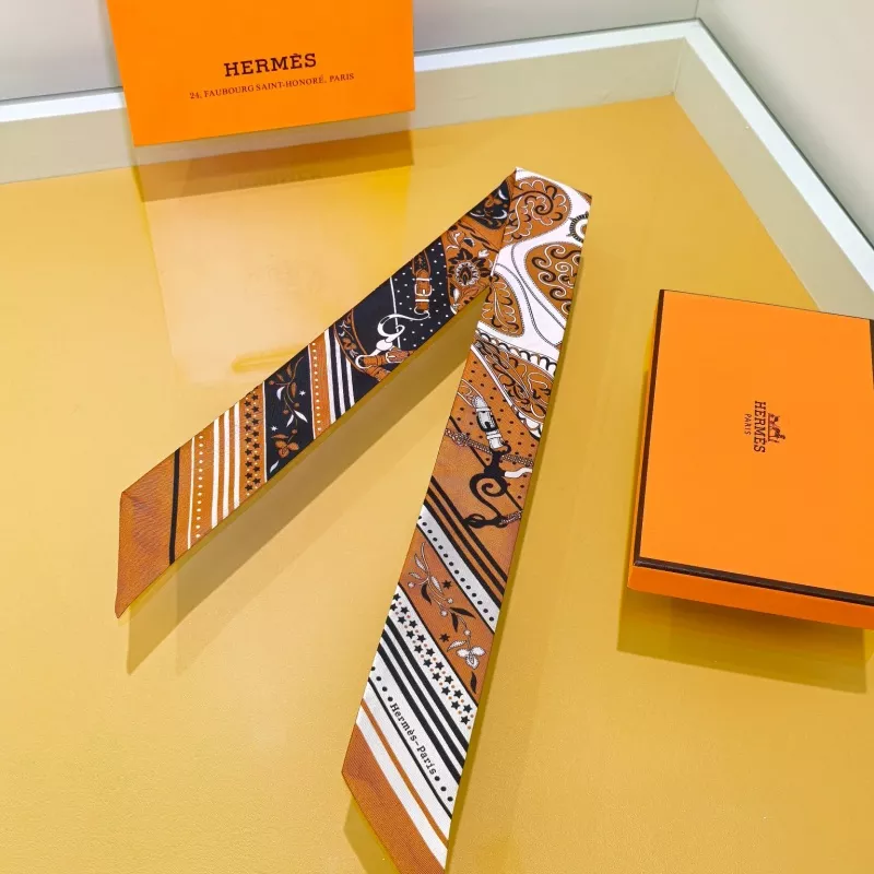 Timeless 4401 Hermes Silk Scarf